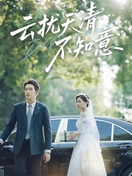 云扰天清不知意(全集)