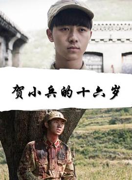 贺小兵的十六岁(全集)