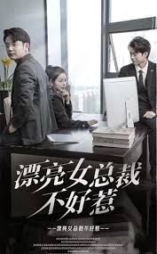 漂亮女总裁不好惹(全集)