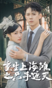 重生上海滩之只手遮天(全集)