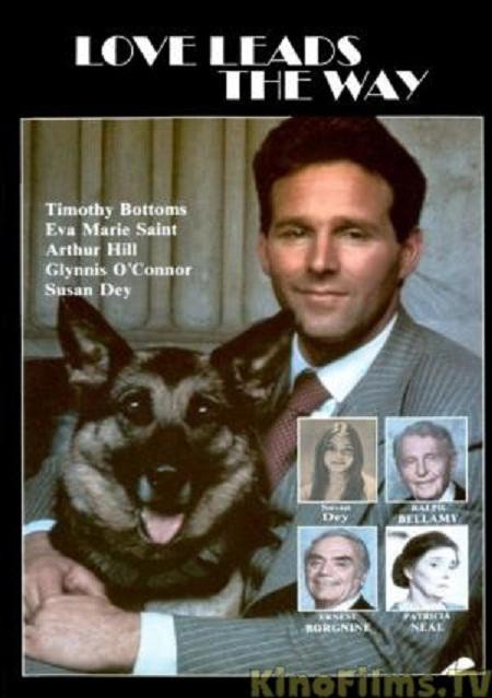 爱的引领(全集)