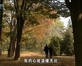 花落时节(全集)