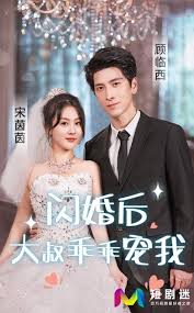 闪婚后,大叔乖乖宠我(全集)