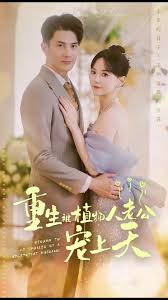 重生被植物人老公宠上天(全集)