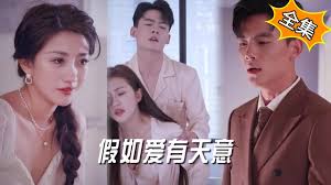 假如爱有天意(全集)