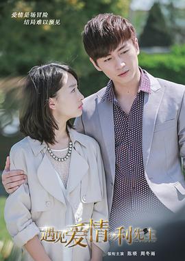 遇见爱情的利先生[DVD版](全集)
