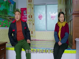 乡村爱情9（下）(全集)