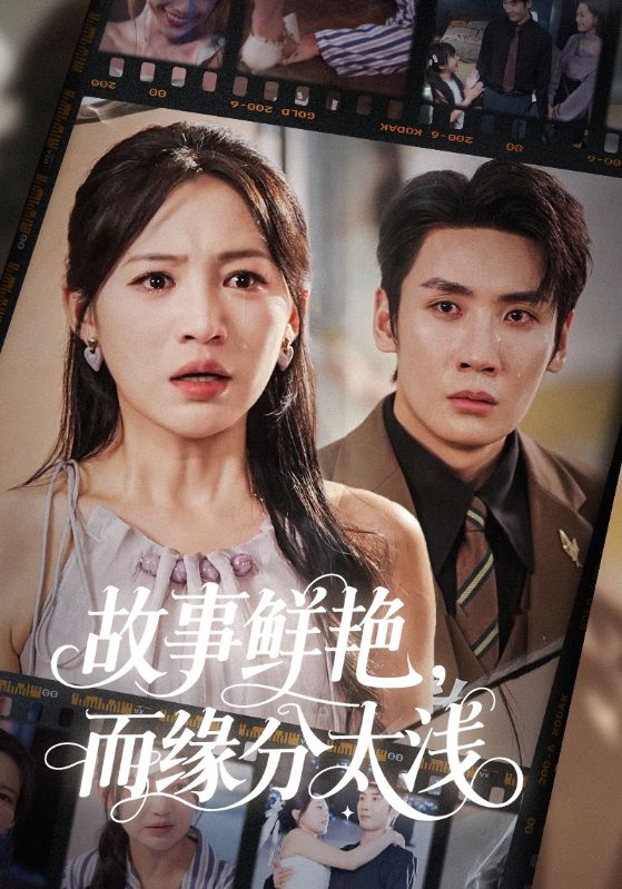 故事鲜艳而缘分太浅(全集)